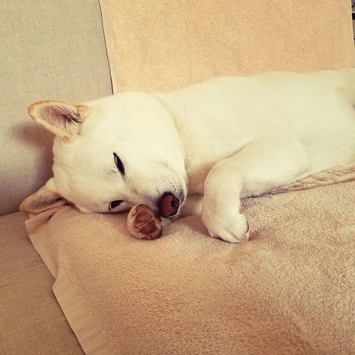 F37c31f6 4c55 459a 91dc dfaac8638596 1515054734384