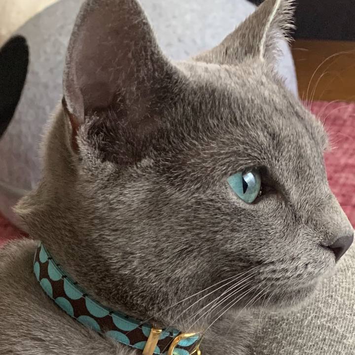 F37c64f4 58de 47f2 a43c b2e7db4e667e 1576631841148