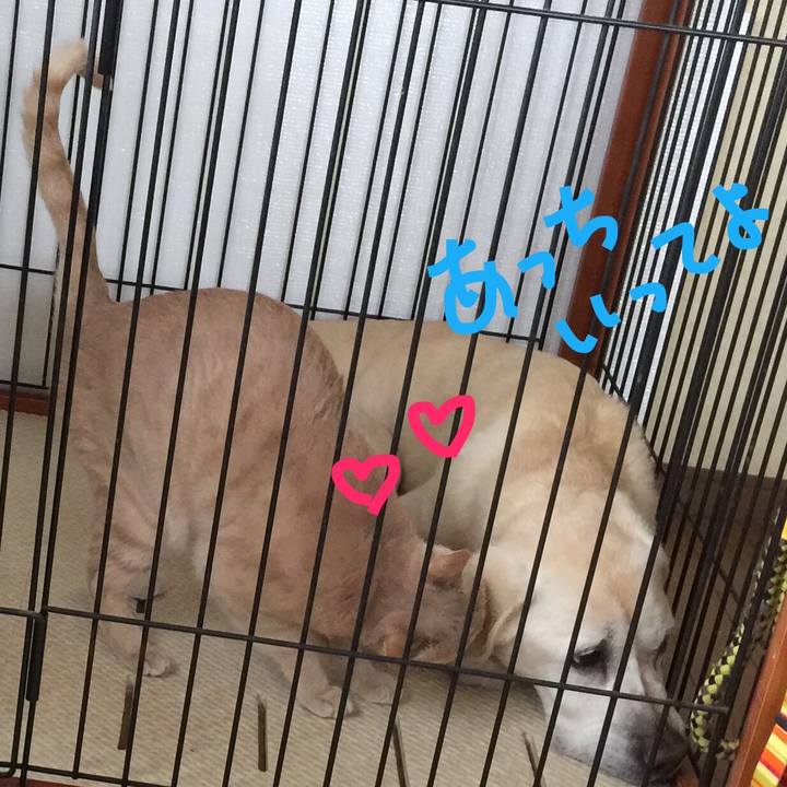 F37c6ecf 30fe 489f 9d72 98b71215b9b9 1525848398558