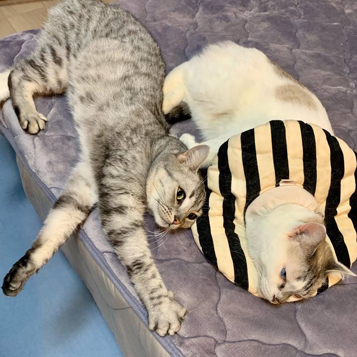 F37c8f3e 1506 4928 aa18 5097d232344c 1632530068253