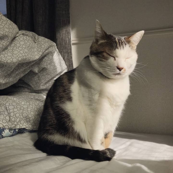 F37cb73a 6c12 4ead b980 abf07939ba09 1552189651413