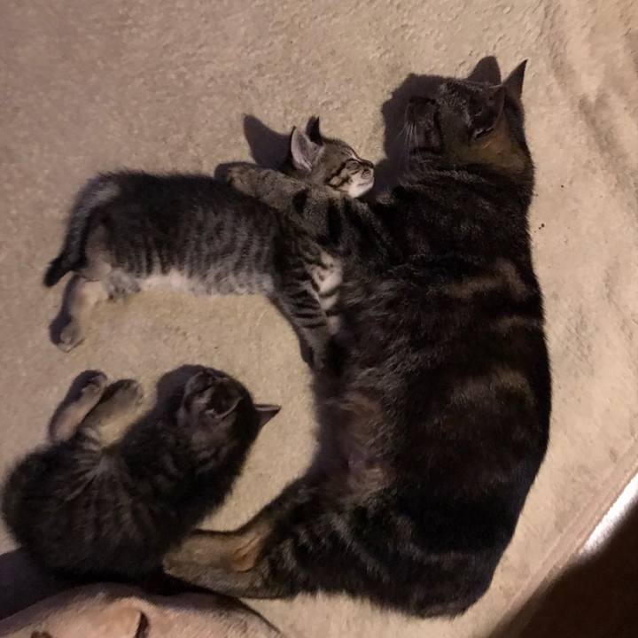 F37cbc83 eca8 4db0 8c46 34f04962429f 1628865839879