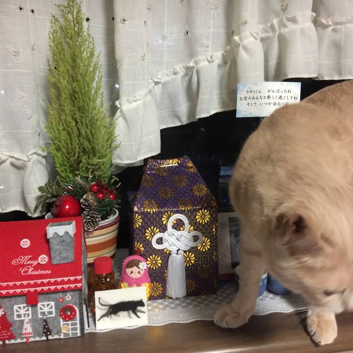 F37ccd22 b9c1 4008 8cdd 424c86945627 1545221448149