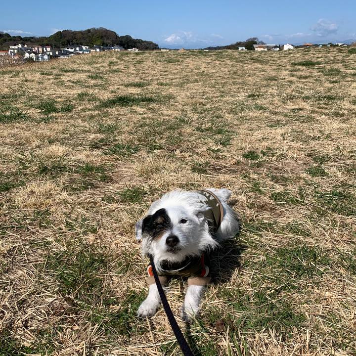 F37cd794 e12f 42f2 af30 35f0501ddb51 1742172459688