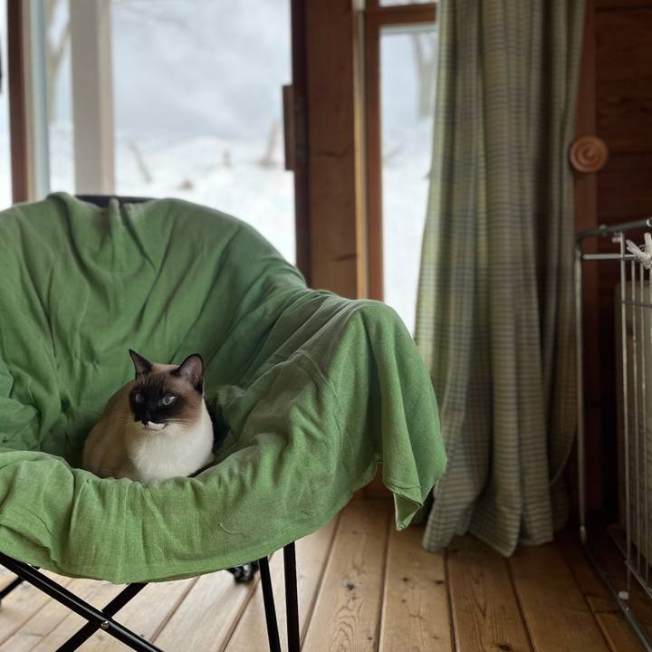 F37cf02f 0bf6 45f6 91e9 adf74b134885 1736125451216