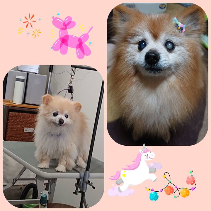 F37d2167 ac21 415f 96b4 65c619e861bd 1646467636674