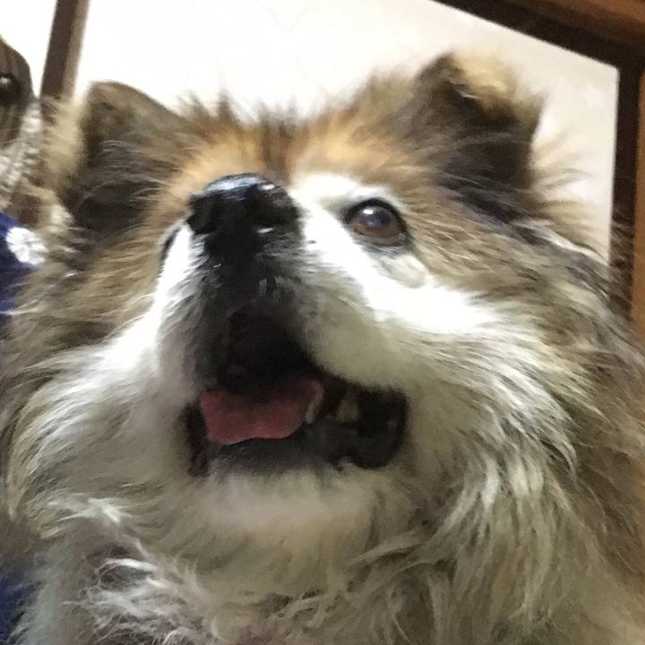 F37d750a dc41 4179 890a 44a6f3c8b6f7 1609998593266