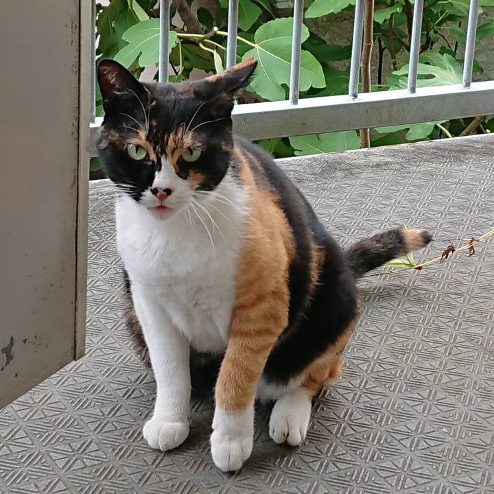 F37d929d b3af 4e9f 82ea ee7398d4713f 1535756504477