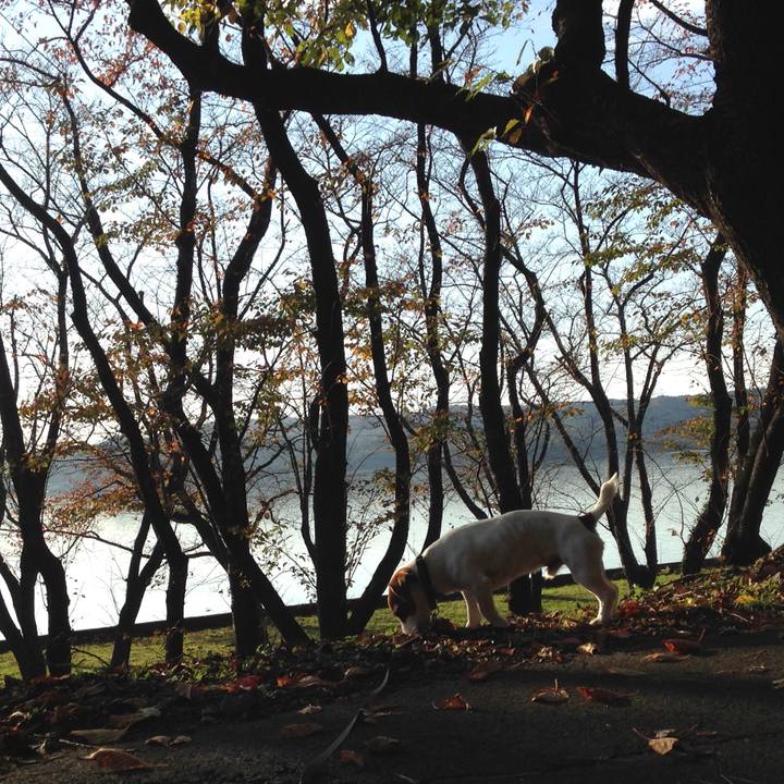 F37dae09 353b 463b 8413 ac10af2c87f8 1510561234882