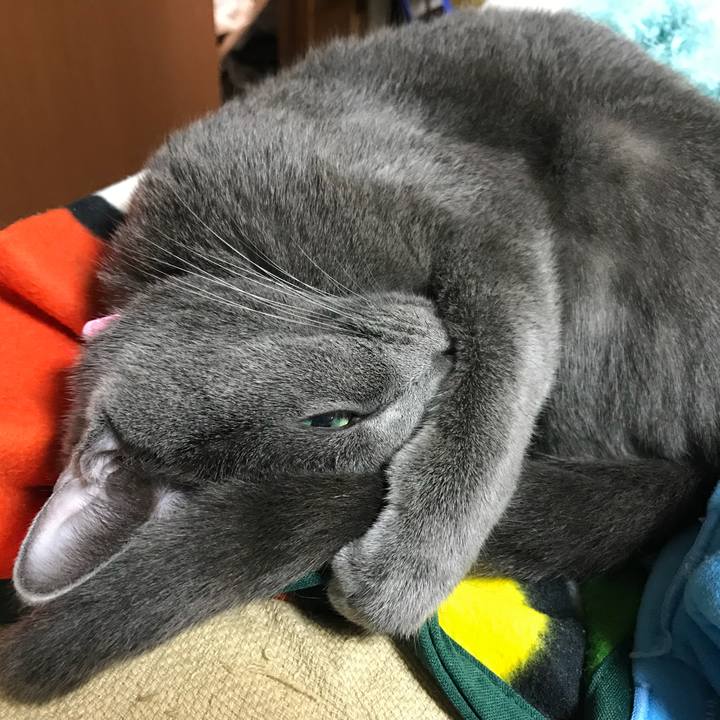 F37dc6a7 b7ab 43a4 b291 a0d319e59743 1509190098937