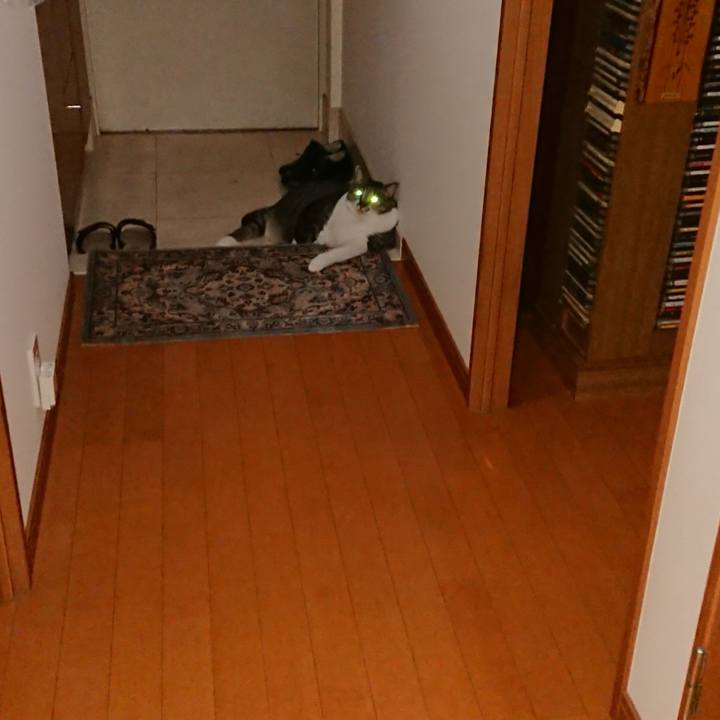 F37de671 4e72 4d50 81c5 e643698d0c0f 1567121522728