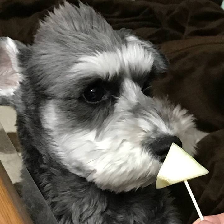 F37de7b6 542d 440c b8b8 df591d804bb2 1516447043881
