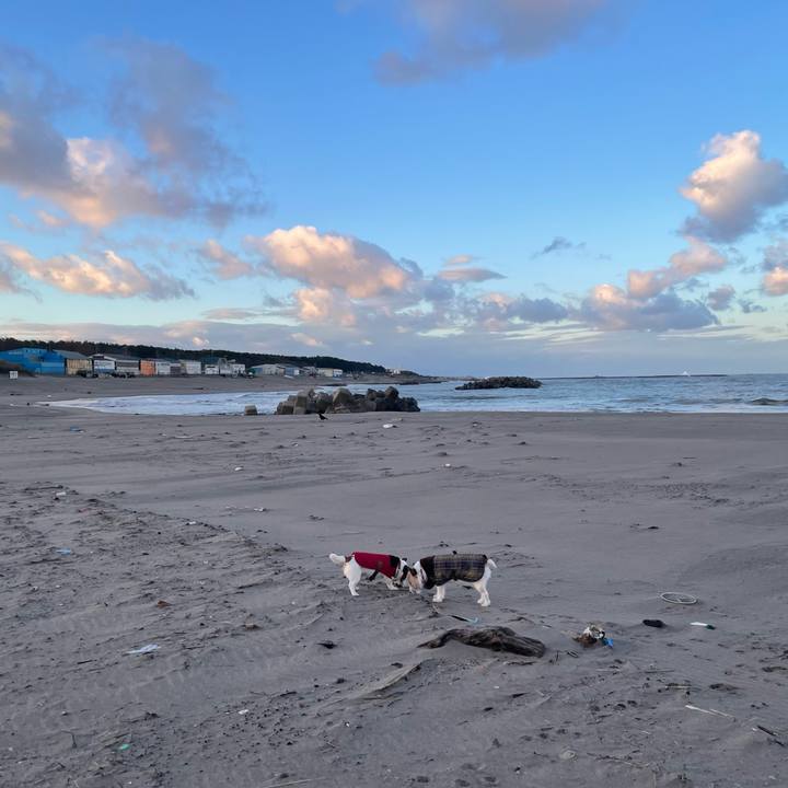 F37debd5 9690 4c7c bd36 ea3976ada2c5 1733789146938