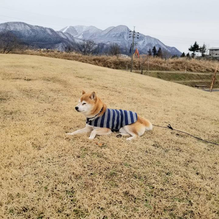 F37e0f3c 3533 40eb ba66 cdf2cc29a37d 1579151525591