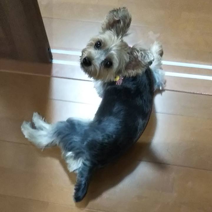 F37e1a21 61cf 4b62 8926 31eb81191467 1565695583890