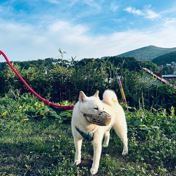 F37e3d30 8813 4743 b1b2 e22c2b423e4b 1753909507933