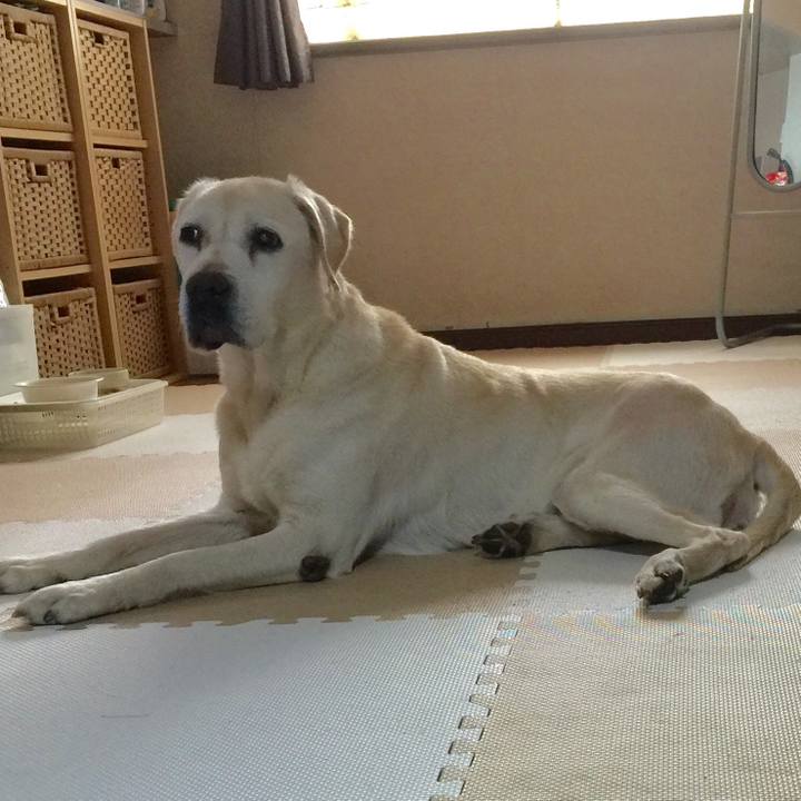 F37e583c cb0c 4303 96ef a878551c6e5a 1520812007050