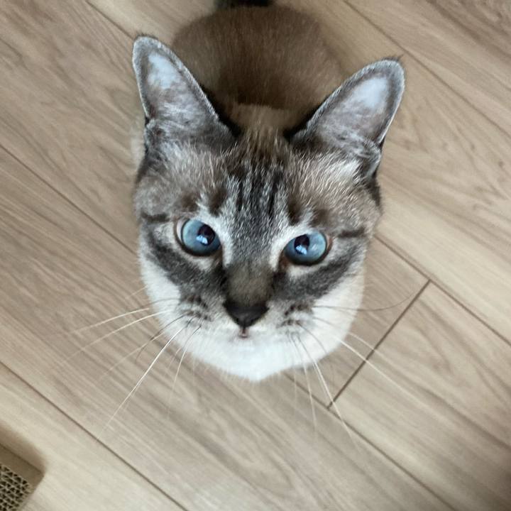 F37e7144 1016 4a2f 9db9 817f5d5e754b 1656120961946