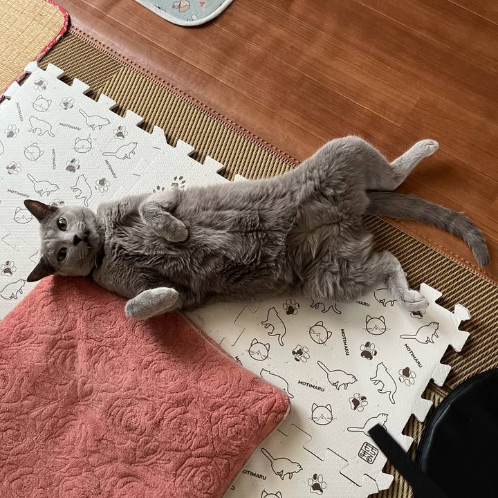 F37e74cb 585f 4111 b64e 01fdadaf926a 1724279527964