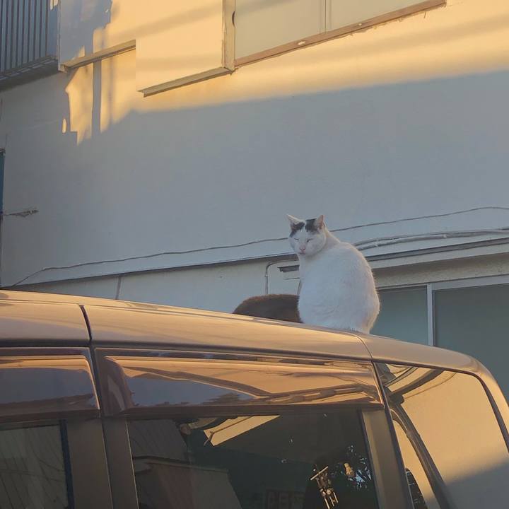 F37e7ed1 5bb5 4171 9a89 46f704df84e6 1580738174114