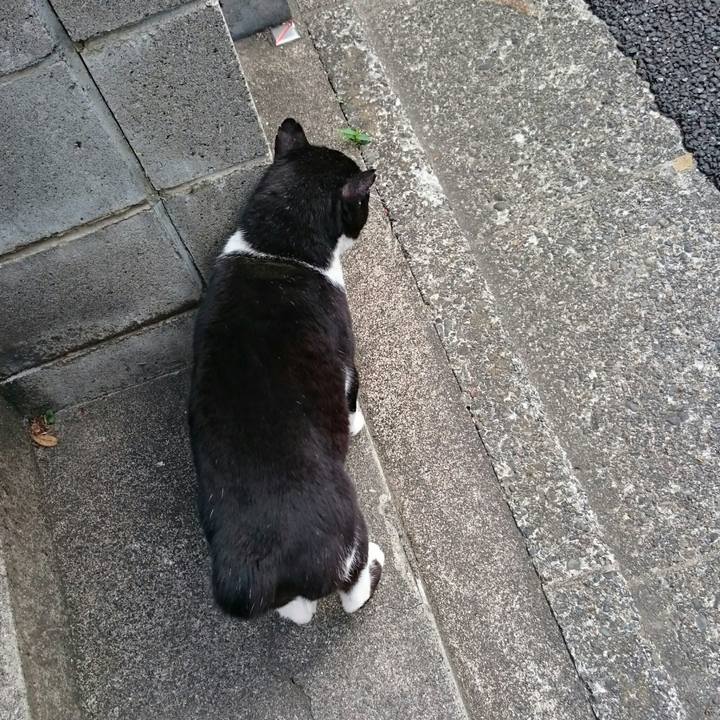 F37e83c9 d4d4 4730 87bf 389e46d4927d 1525220041022