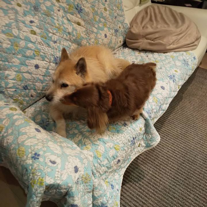 F37ecae2 a3e1 4332 b1bf 6a6646a6aff7 1550491245699