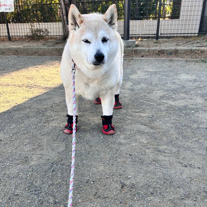 F37ecdea 7d05 436d 8dac 3ad7a58fcbee 1739517966622