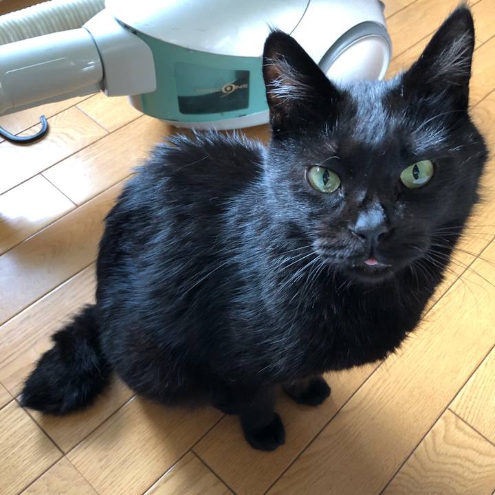 F37ee818 bc4d 49a4 adb4 f7db273ef626 1566335277631