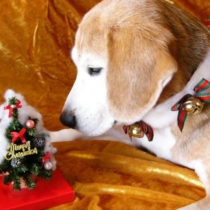 F37eec52 3653 43cd 9c00 b90bb1d884cd 1658791484949