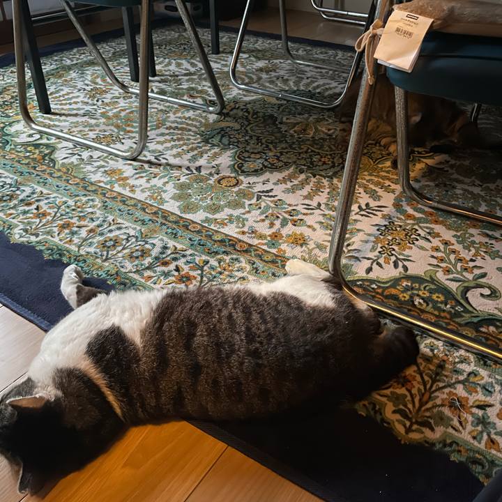 F37f51b9 eafb 4a4e b540 7923c3026425 1620537483150