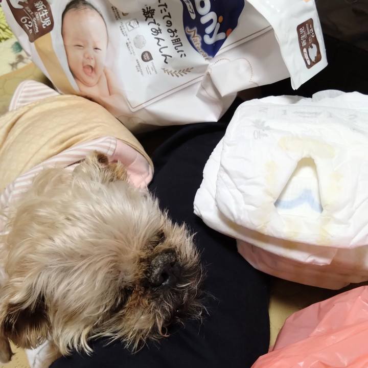 F37f5214 960e 4137 81ec cab06f649f7d 1744525927012