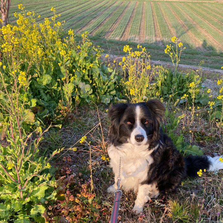 F37f69c0 f0bd 46e6 9c4b 60268c7a22ac 1646781759514