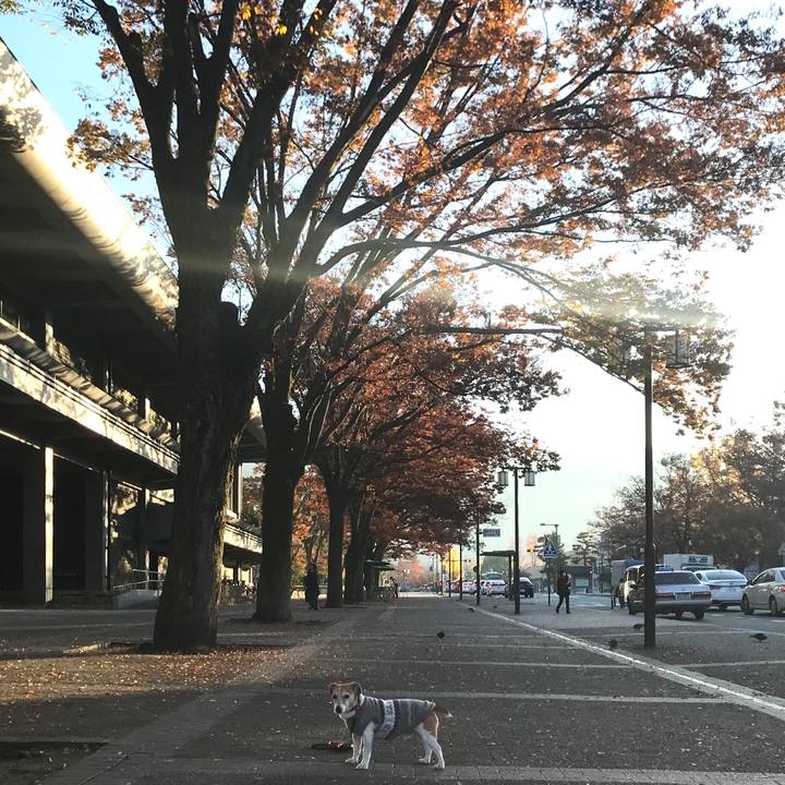 F37f6c98 21ac 4753 8111 b4307e3b0a0b 1574517687893