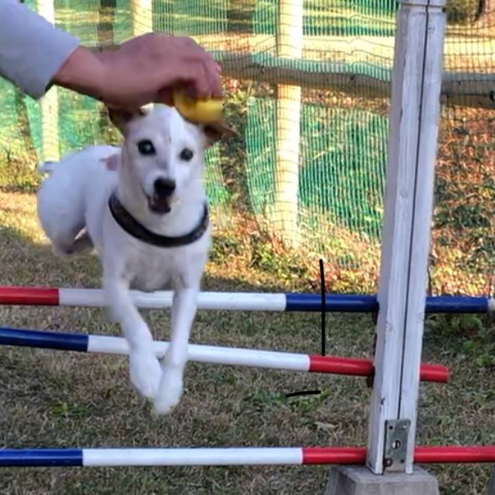 F37f7166 551a 4403 8c2a d1e7b58cdf2f 1512344012641