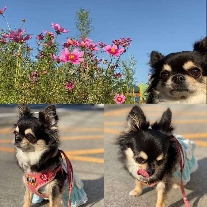 F37f8249 a08e 49bb 9035 d7c610d8af30 1633476567072