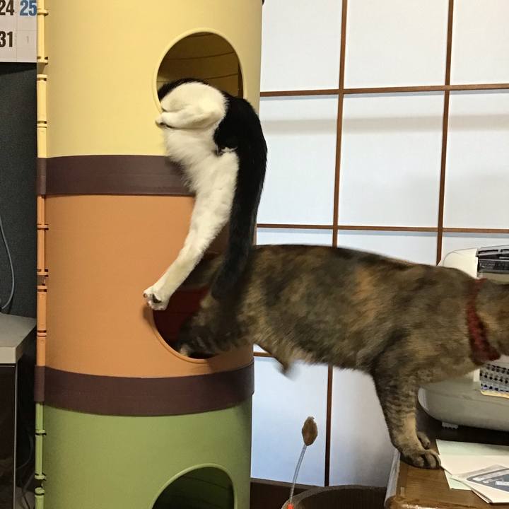 F37fb007 ff82 4373 9955 e39be8212a77 1639002449174