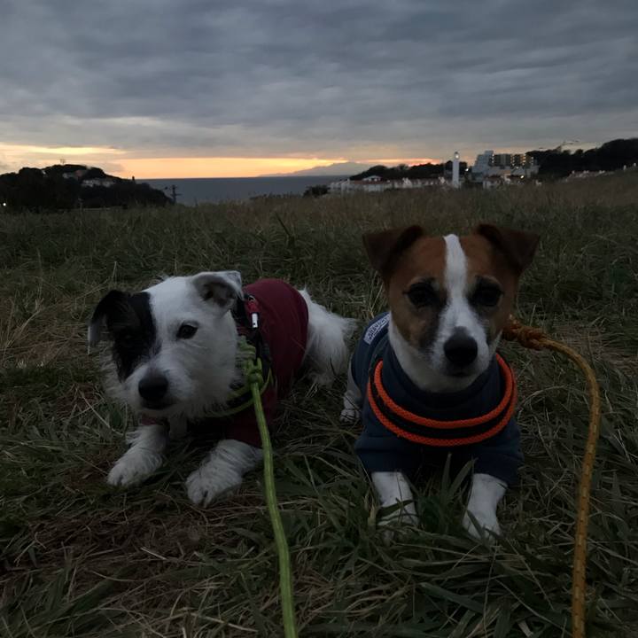 F37fb72f b3a0 4646 9c35 50ed573e7c32 1543997714531