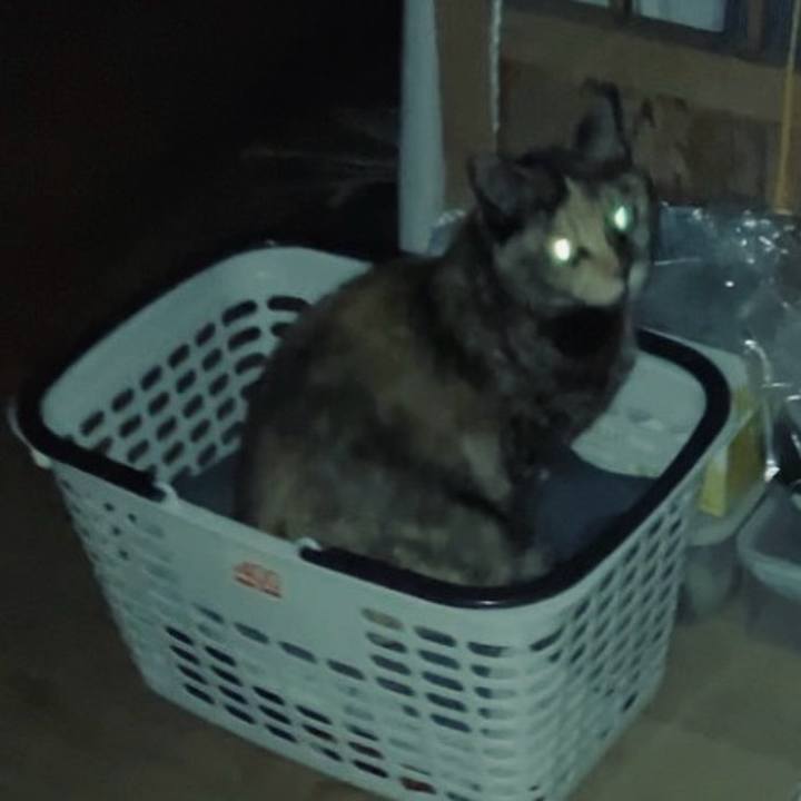 F37fbfc5 ad3d 4545 8322 24399f5a6a77 1733421799870