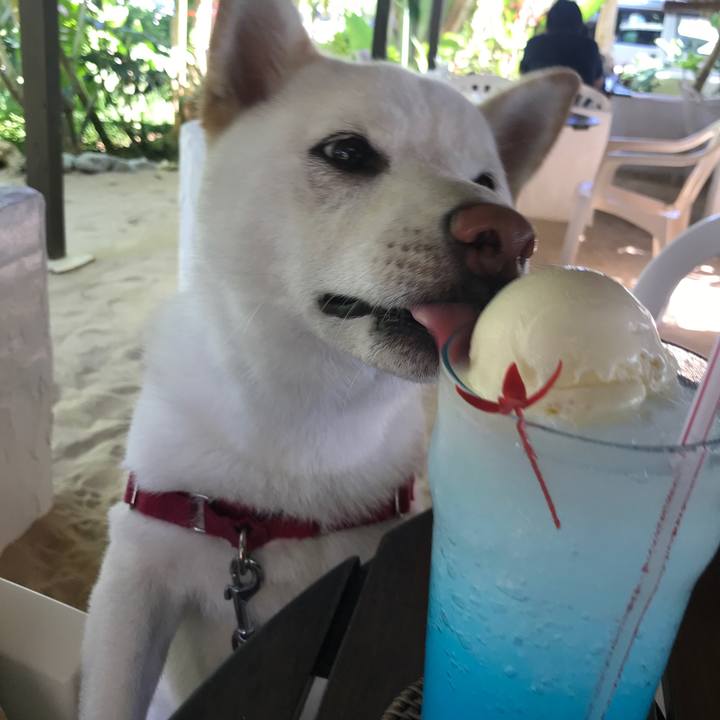 F3800f1a 64cb 47ab 9e12 50cd04626018 1537507356562