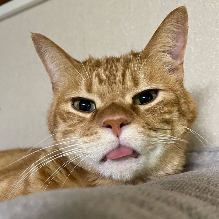 F3801daf ba73 44aa adb9 3d635430e85c 1765948620560