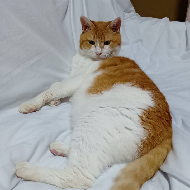 F380448d 02f4 433b b8c9 ebbecb575196 1757477978025