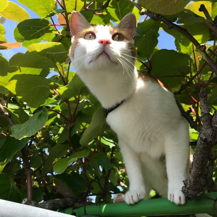 F3804728 d615 4a8e 8c1a 9e0e73f7e494 1526882869753