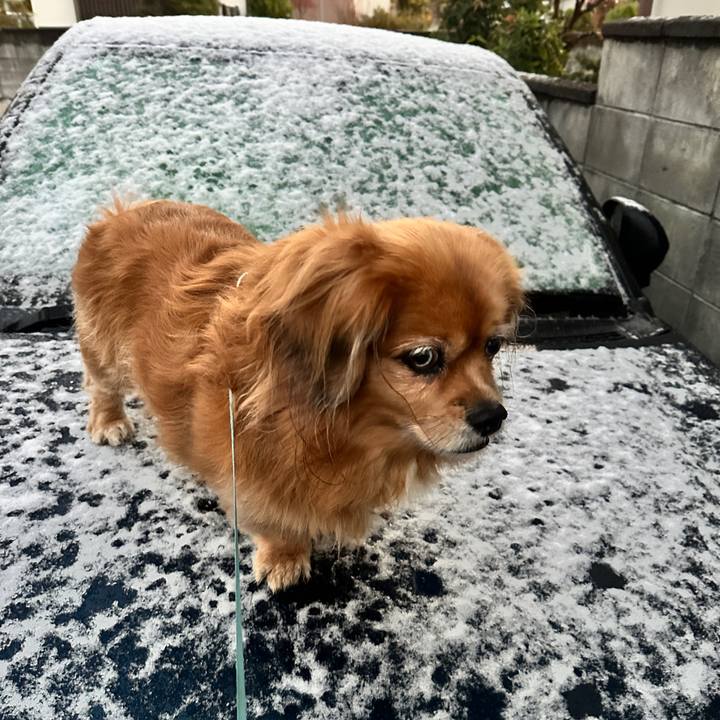 F3804c25 948d 4b81 8711 0b4ad7556261 1764798145754