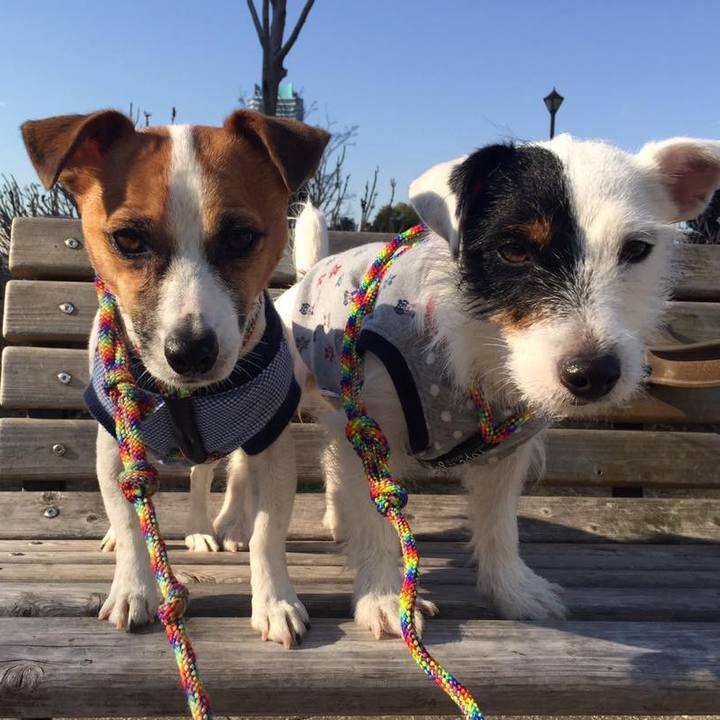 F38062bb 74ce 40c1 ac52 281c1a51aaca 1578447878848