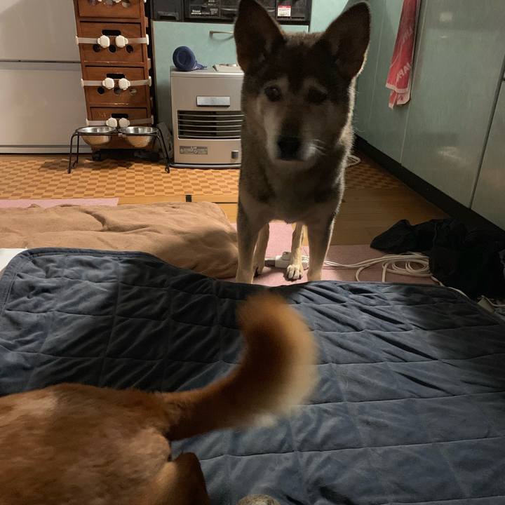 F3808b96 f009 413d b111 10b24b130f6a 1562198008174