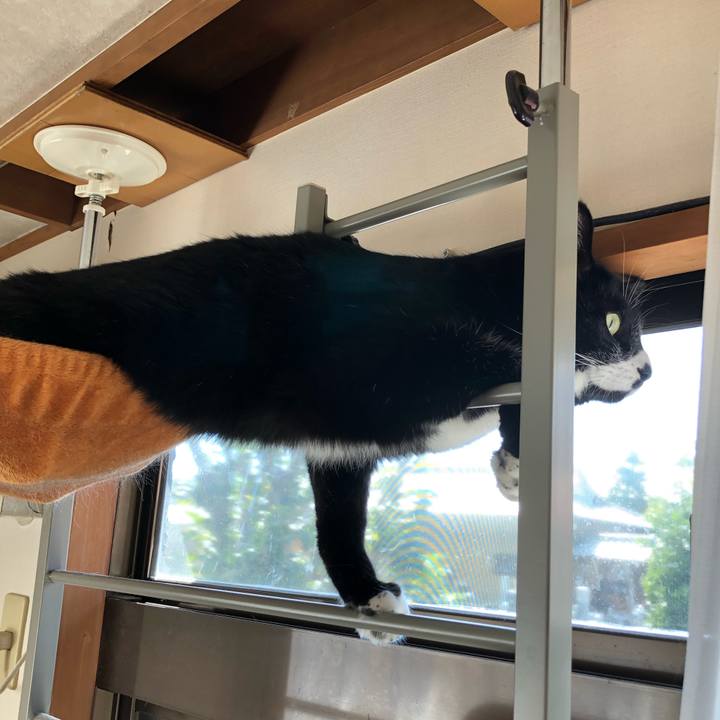 F380948c cedb 4bc8 b6e1 6ee60c526e76 1583292153173