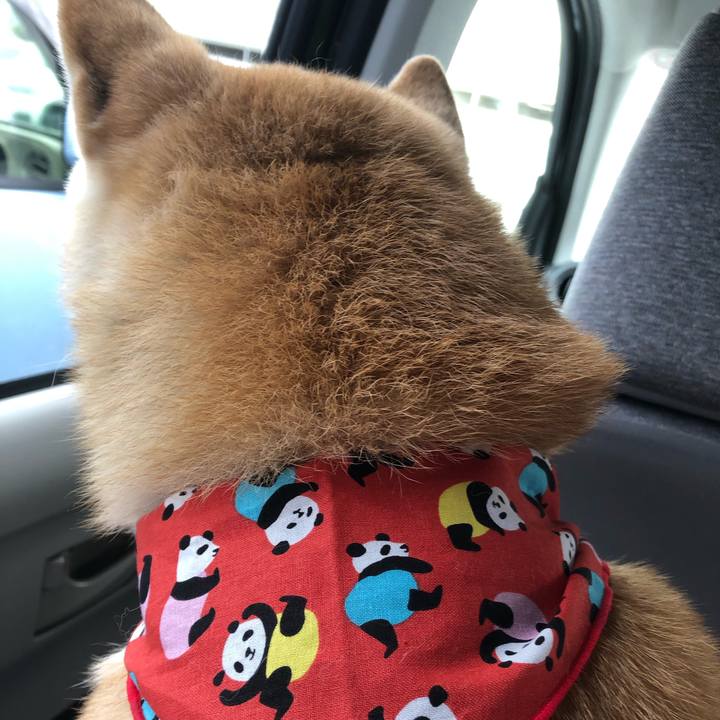 F380c53d b462 4ffa 9ba7 01421c91478b 1600648467608