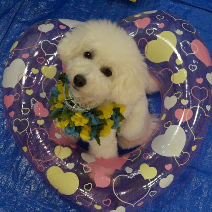 F3815951 6250 4d1c a438 72dd8f5f15f4 1564306232499