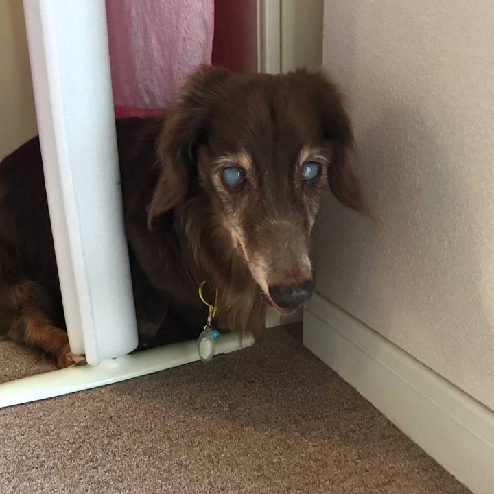 F3817887 e83e 4ccd b99e d534864fd545 1595294561374