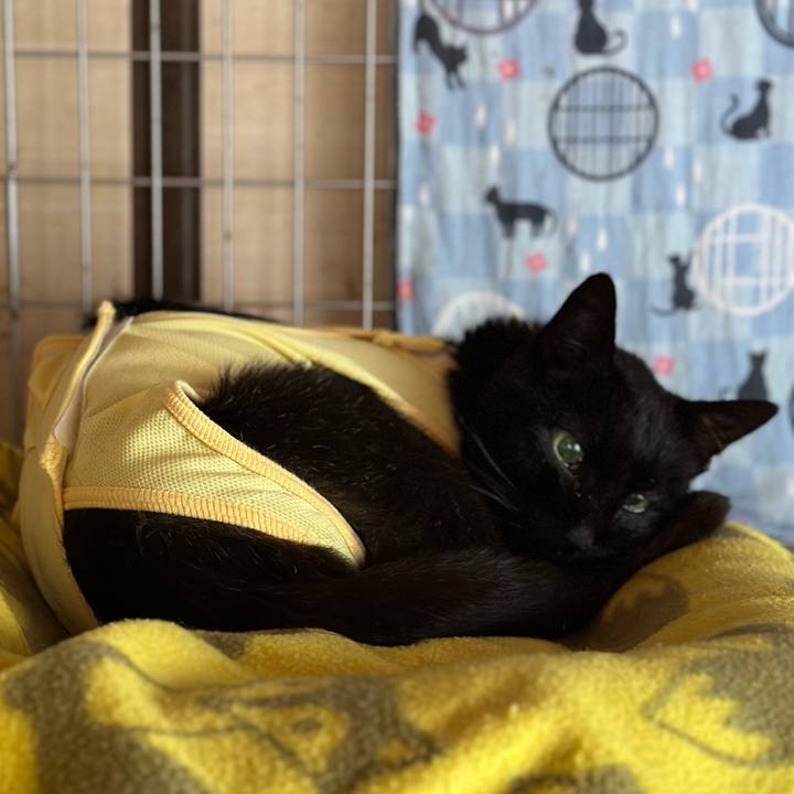 F3818627 d043 4114 95f3 9d15708a681b 1715824656761